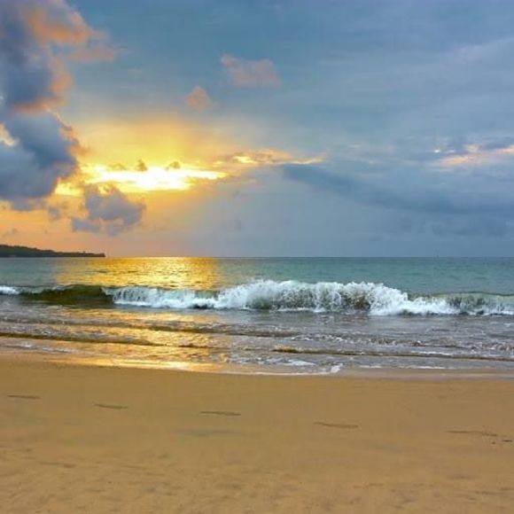 Meet your Posher, Flowers - Picture 1 of 1